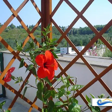 Vacanza Facile - Selva Del Turchese Casa vacanze